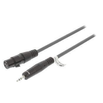 XLR-Stereokabel XLR 3-pol. female - 3.5 mm male 1.0 m Dunkelgrau